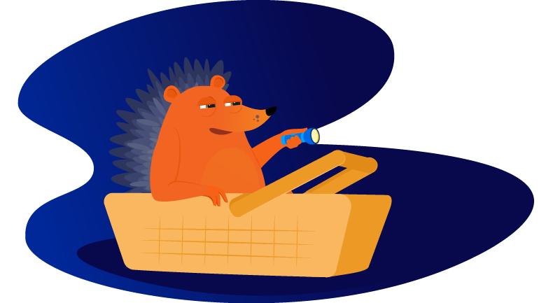 hedgehog sitting in picnic basket with flashlight