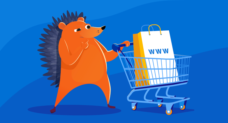 Hero image of What to do after buying a domain name: 6 key actions