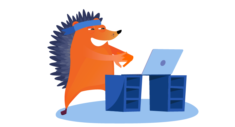 Hedgehog preparing judo on laptop on cement blocks