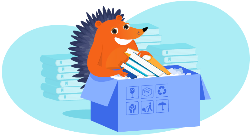 Hedgehog creating a subscription box service