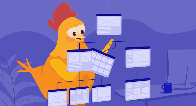 Hero image of Information architecture: how to master web design