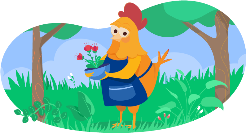Chicken gardening