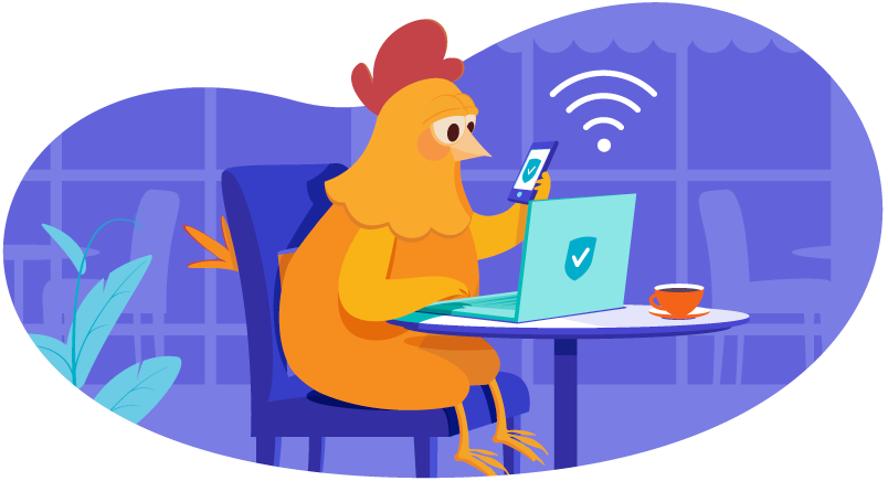 Chicken on laptop using WiFi
