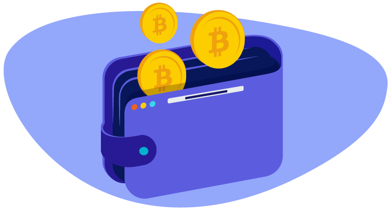 Bitcoins in a wallet
