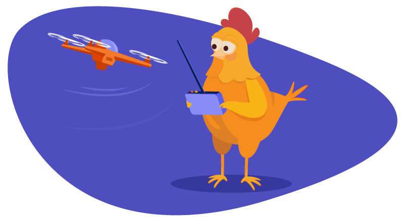 Chicken flying drone