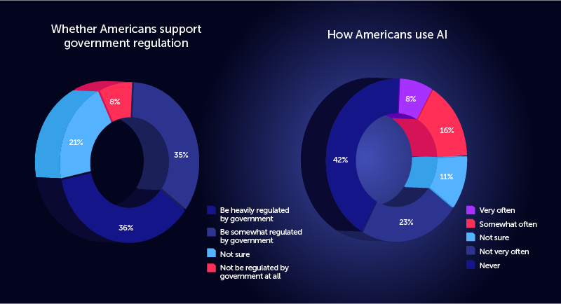 Infographic with stats on government regulation and how Americans use AI