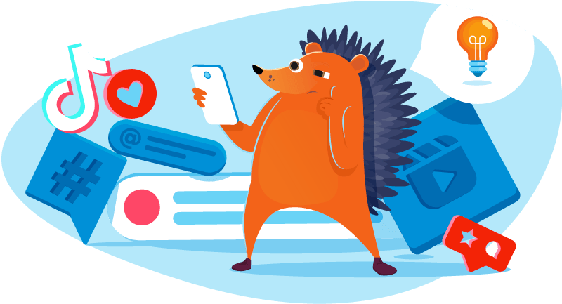 Hedgehog producing TikTok videos
