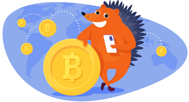 Hedgehog posing with bitcoin