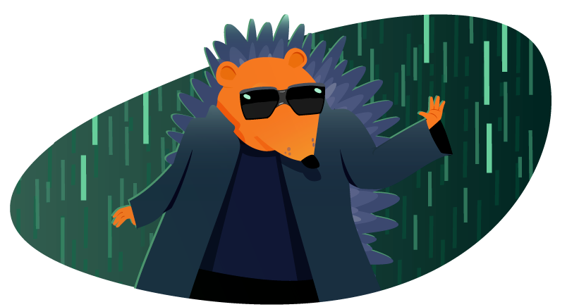 Hedgehog with sunglasses securing APIs