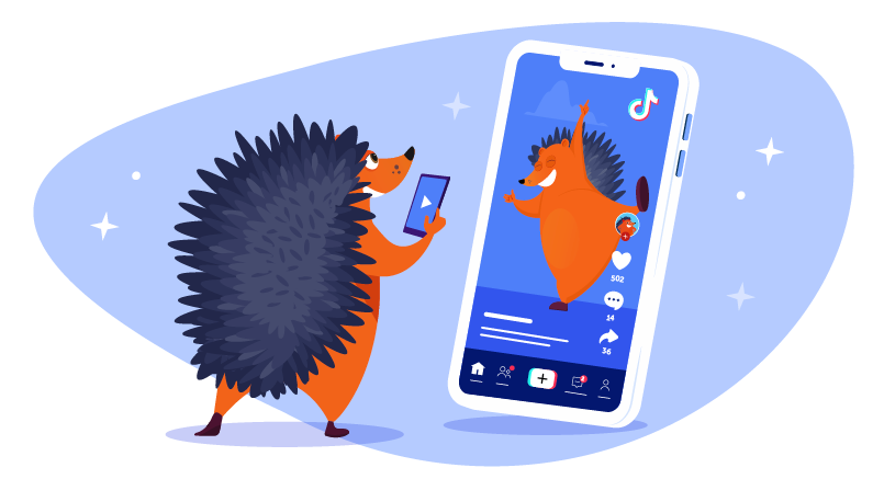 Hedgehog on TIkTok