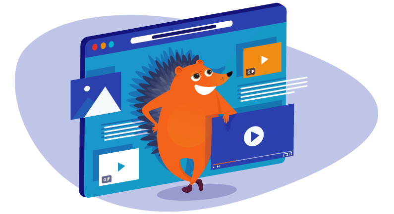 Hedgehog posing with embedded video and other elements