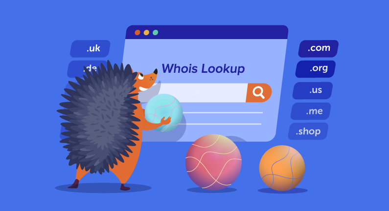 Hero image of Choosing and checking domains for better SEO