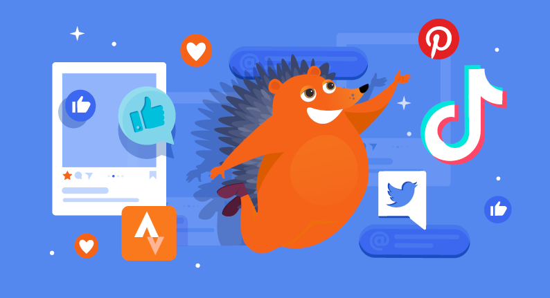 Hero image of Diversifying your social media to reach your niche customers
