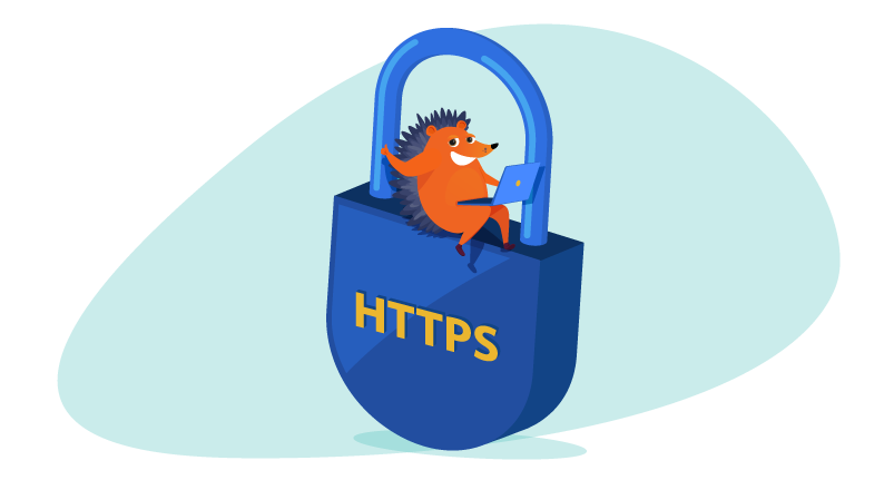 Hedgehog on a padlock reading "HTTPS"