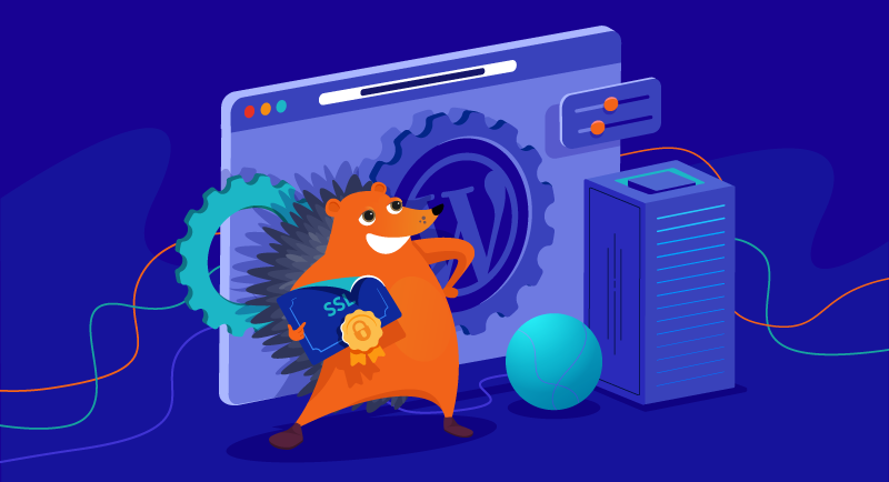 Hero image of Namecheap’s integrated domain and hosting advantages