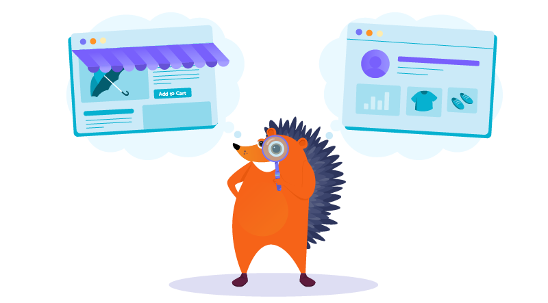 Illustration: what type of e-shop do you want
