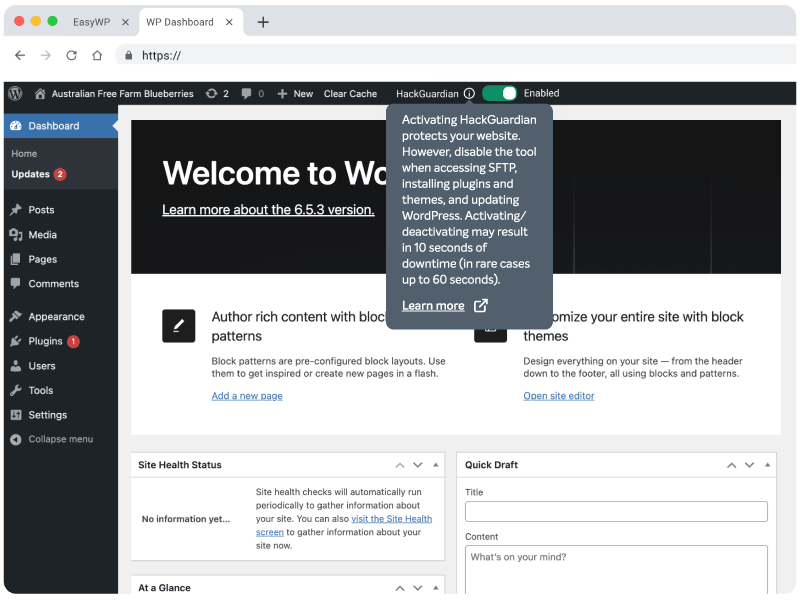 What is HackGuardian